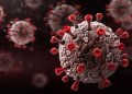 Omicorn virus spreads in Netherlands, Denmark, Australia