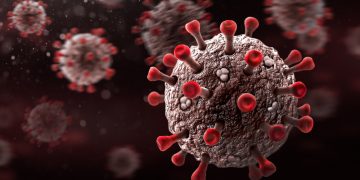 Omicorn virus spreads in Netherlands, Denmark, Australia