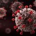 Omicorn virus spreads in Netherlands, Denmark, Australia
