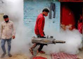 India struggles as dengue cases increase amid the COVID outbreak