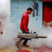 India struggles as dengue cases increase amid the COVID outbreak