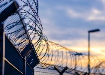 Danny Fenster: US Journalist freed from Myanmar Jail