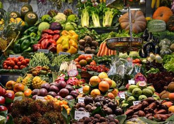 Global food prices hit fresh 10 years high: Says UN