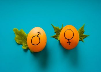 Riteish-Genelia turn hosts for show Ladies Vs Gentlemen, which is streaming on Flipkart Video