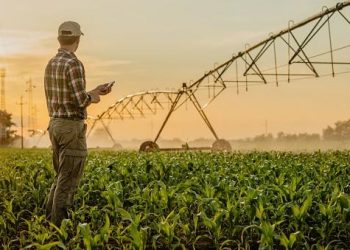 Despite the centre repealing farm laws, Union Leaders to decide about tractor March to Parliament on Sunday