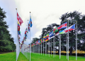 World Health Organisation to get a new leader at the 75th World Health Assembly in 2022