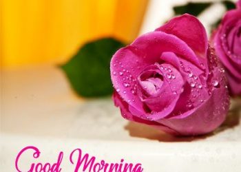 Best Good Morning Couple Images | Good Morning Images for your Special Someone