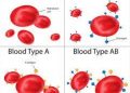 Coronavirus and blood group: A study finds out if your blood group makes you safe or more prone to COVID
