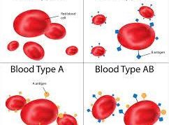 Coronavirus and blood group: A study finds out if your blood group makes you safe or more prone to COVID