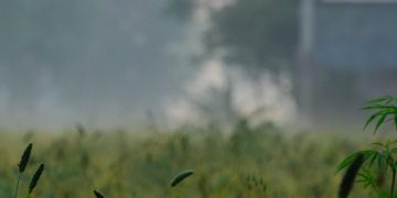 Punjab CM Charanjit Singh Channi launches projects worth Rs 100 crore in Kharar, Morinda