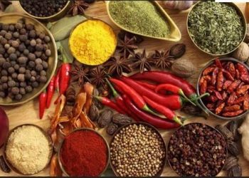 Top 10 Masala Companies in India