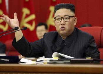 N Korea spurs online education universities to train workers: State media