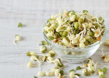 Eat sprouts every day for these incredible benefits