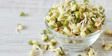 Eat sprouts every day for these incredible benefits