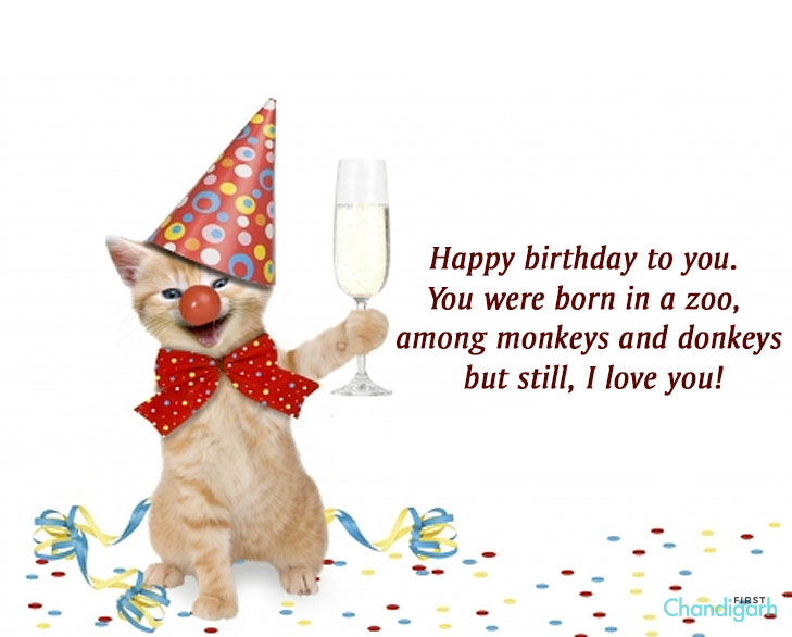Funny birthday message - you were born in a zoo