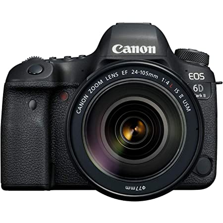 blogging cameras - CANON EOS 6D Mark II