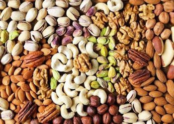 Best Dry Fruit Brands in India- Get Quality Products Here!