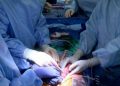 Another Pig to Human Kidney Transplant Becomes a Huge Success by US Medical Team