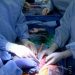 Another Pig to Human Kidney Transplant Becomes a Huge Success by US Medical Team