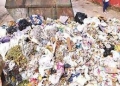 Chandigarh civic body to initiate legal action against violators for dumping garbage
