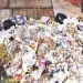 Chandigarh civic body to initiate legal action against violators for dumping garbage