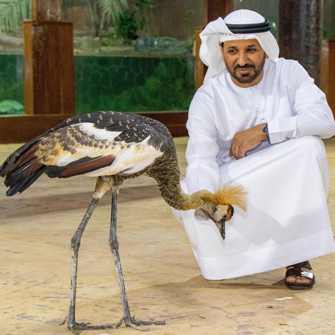 saif ahmed with crane