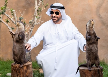 Saif Ahmed Belhasa Net Worth 2022 - Bio, Age, Earnings & More Saif