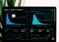 Role of Histograms in Statistics
